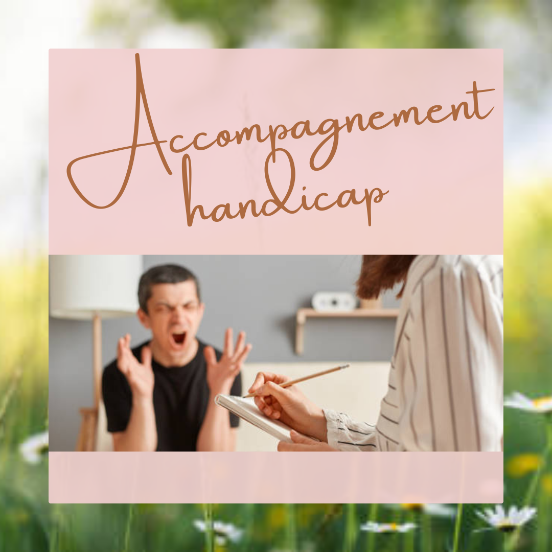 Accompagnement des situations de handicap